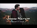 Jeena Haraam (Slowed + Reverb) | Vishal Mishra, Shilpa Rao | Crakk | Lofi Version | YS Lofi Song