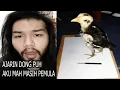 Download Lagu Aku Mah Masih Pemula, Ajarin Dong Puh Sepuh.. 🤡