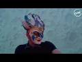 Boris Brejcha - Butterflies (video cut)