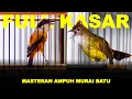 Lagu Burung Cendet FULL NEMBAK vs Burung Cucak Jenggot Full Kasar