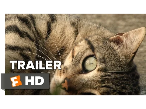 Counting Official Trailer 1 (2015) - Jem Cohen Documentary HD
