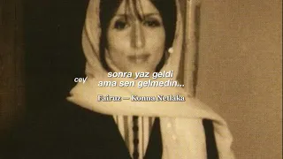                                        دندنها