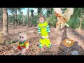 Download Lagu Funniest in history😂CUTIS \u0026 baby monkey steal chicken eggs to hatch \u0026 the ending