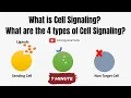 Cell Signaling and 4 Types of Cell Signaling