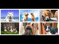 JSPuzzles - Play and Create Jigsaw Puzzles
