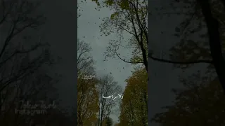 ياما قالو الهوي غلاب حالات واتس اب حزينه معبره حالات واتس 