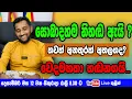 සොබාදහම නිහඬ ඇයි ? තවත් අනතුරක් අතලගද? වෙදමහතා හඩනගයි