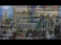 Holy Mass live streamed from St Ann Catholic Church in Clayton North Carolina USA