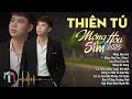 Lagu NHỮNG SÁNG TÁC TRIỆU VIEW CÚA THIÊN TÚ | Mộng Hoa Sim, Mộng Dở Dang, Cau Phai Trầu Úa | Hot Tiktok