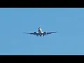 United Airlines Boeing 737 MAX 8 Landing to Washington Dulles from Tampa on Flight 326