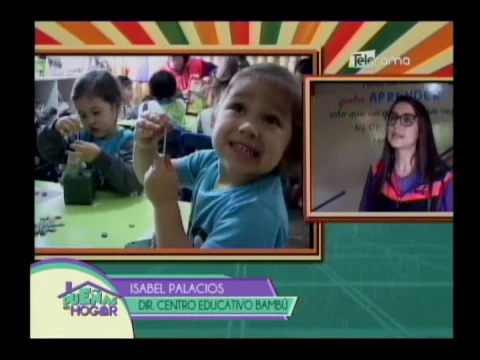 EDUCACIÓN POR ÁREAS Y DESTREZAS ALTERNATIVA PEDAGÓGICA 