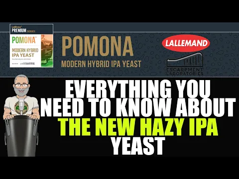 Download MP3 Pomona The NEW HAZY IPA Yeast From Lallemand