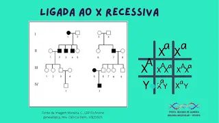Aula sobre padrões de herança monogênica - Parte2