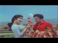 Download Lagu Mattukkara Velan – Poo Vaitha Poovaikku – EDITED – மாட்டுக்கார வேலன் – பூ வைத்த பூவைக்கு