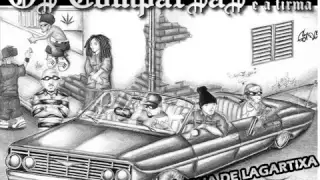 nsc l ngua de lagartixa