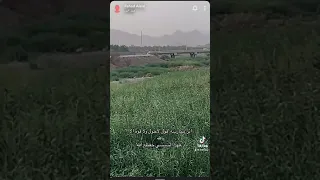 اثر ممارسة قول لاحول ولا قوة الا بالله د فهد السيسي حفظه الله 