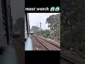 superfast train accidentally killed street dogs puppy
