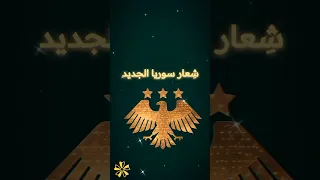 الهوية البصرية الجديدة لسوريا شعار النبالة السوري سوريا هوية بصرية Flaganimation الأمير حيدر 