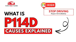 What is P114D Engine Error Code Causes Explained