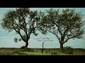 Dylan Gossett - The Old Me (Lyric Video)
