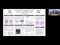 Lucia B - Multi-Instance Learning Methods for Cancer Detection in Histopathological