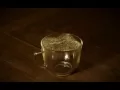 Too Late Trapcode Form Test - React