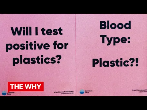 The dangers of plastic to human health⎜WHY PLASTIC?⎜Amsterdam 2019