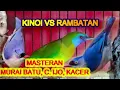 Download Lagu MIX KINOI VS RAMBATAN |birds singing| |birds training|