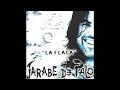 Jarabe De Palo - Grita (Audio)