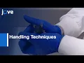 Handling Techniques To Reduce Stress In Mice l Protocol