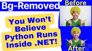 How to Remove Image Background in NET with Python python in Net