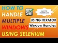 How to handle Multiple Windows using Selenium WebDriver