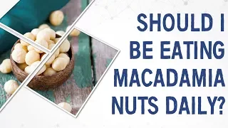 Ask Dr Gundry Should I be eating macadamia nuts daily