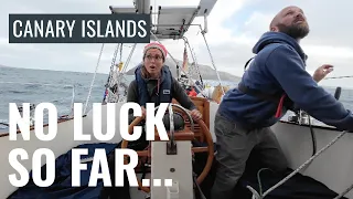 Chasing Shelter: This is Saillife in the Canary Islands