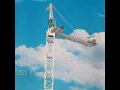 POTAIN MD 689 1 50 scale tower crane assembly