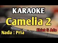 Download Lagu CAMELIA 2 - KARAOKE || NADA PRIA || Ebiet G Ade || Audio HQ || Live Keyboard