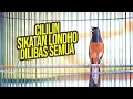 Download Lagu TEMBAKAN MURAI BATU ISIAN CILILIN SIKATAN LONDO bikin LANGSUNG NYAUT tambah GACOR