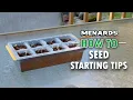 How To Transplant Seedlings Menards