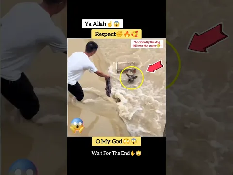 MashAllah☝️😇 Respect 🥰 #allah #shorts #status #respect