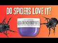 Can This Body Butter Attract Spiders