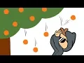Apples and Oranges -