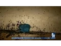 New concerns about hotel s bed bug infestation surface