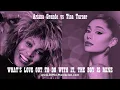 Download Lagu Ariana Grande vs Tina Turner - WHAT'S LOVE GOT TO DO WITH IT, THE BOY IS MINE (2025 REMIX)