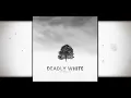Kryoscope - Deadly White [Full Length Polar Dark Ambient Album]