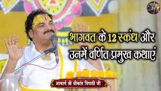 भागवत के 12 स्कंध और उनमें वर्णित प्रमुख कथाएं | Shrikant Tripathi Ji Maharaj Ki Katha | Shiv Nandi
