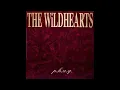 The WiLDHEARTS - Woah Shit, You Got Through