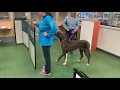Petco Group Class