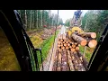 Operation aspen Logging work
