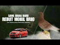 Lagu FINAL SENGIT!!! MERPATI RONIN VS UPIN REBUT HADIAH MOBIL BRIO DI LIGA PMKN NEW GABUS REBORN 