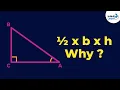 Area of Triangle x b x h Why Fun Math Don t Memorise